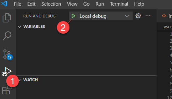 &quot;Local debug&quot;